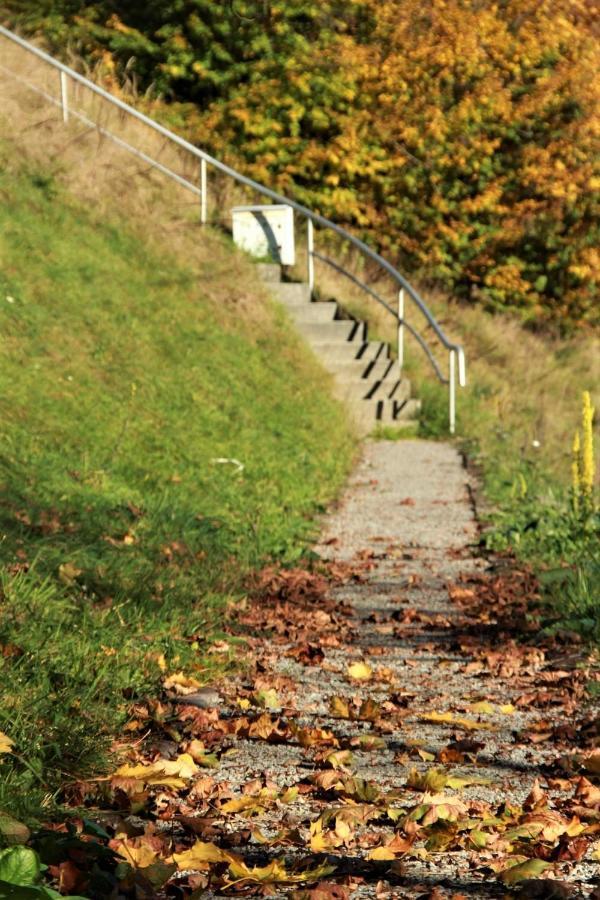 Letniskowa 10 Villa Czernichow  ภายนอก รูปภาพ